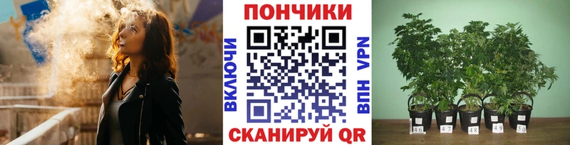 Наркота Ухта Бошки Шишки Мефедрон A-PVP ГАШИШ Кокаин