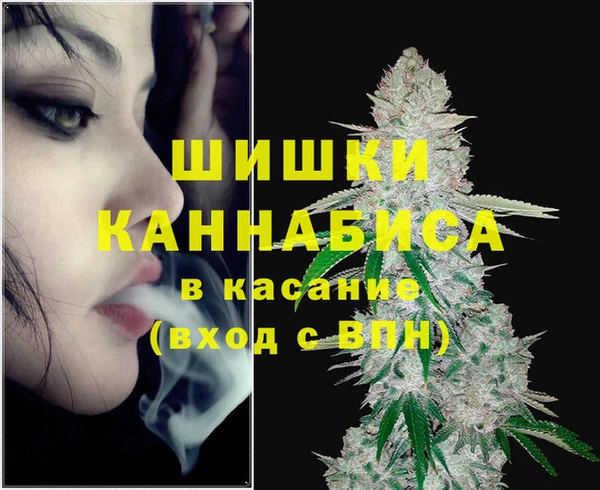 дмт Алзамай