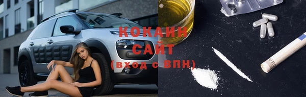 дмт Алзамай
