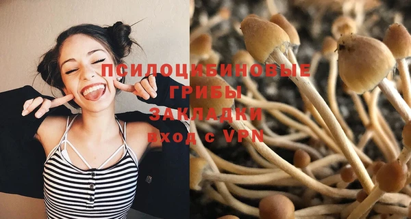 дмт Алзамай