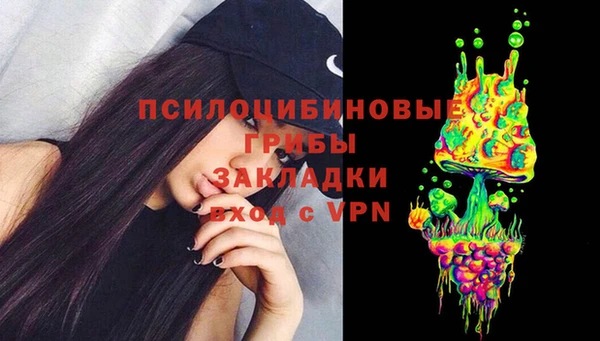 дмт Алзамай