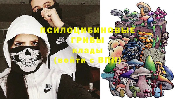 мяу мяу мука Алексин