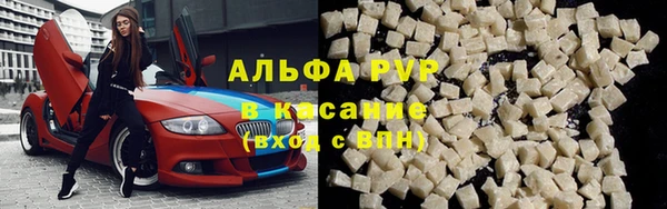 дмт Алзамай