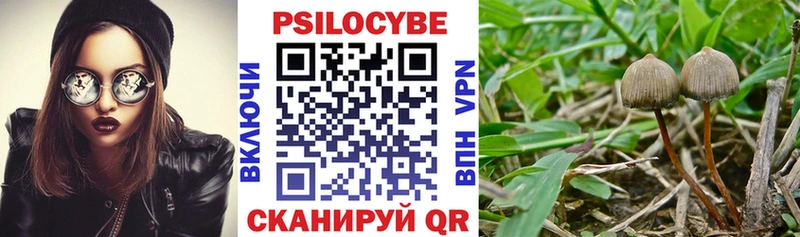 Галлюциногенные грибы прущие грибы  Ухта 