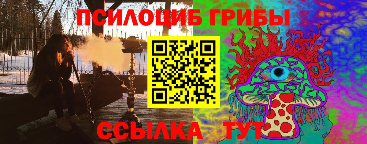 Ухта  Псилоцибиновые грибы мицелий  Вход с VPN 